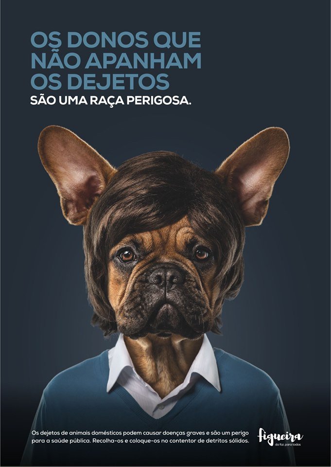 Os donos que não apanham os dejetos, são uma raça perigosa