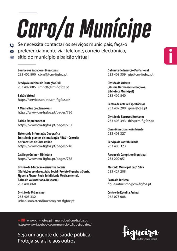 Precisa tratar algum assunto nos serviços da Câmara Municipal?