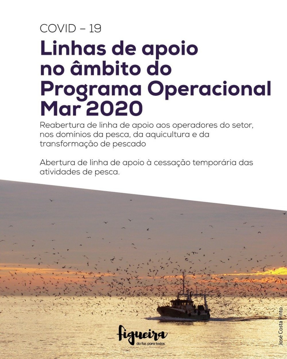 Covid-19: Linhas de Apoio no Âmbito do Programa Operacional Mar 2020