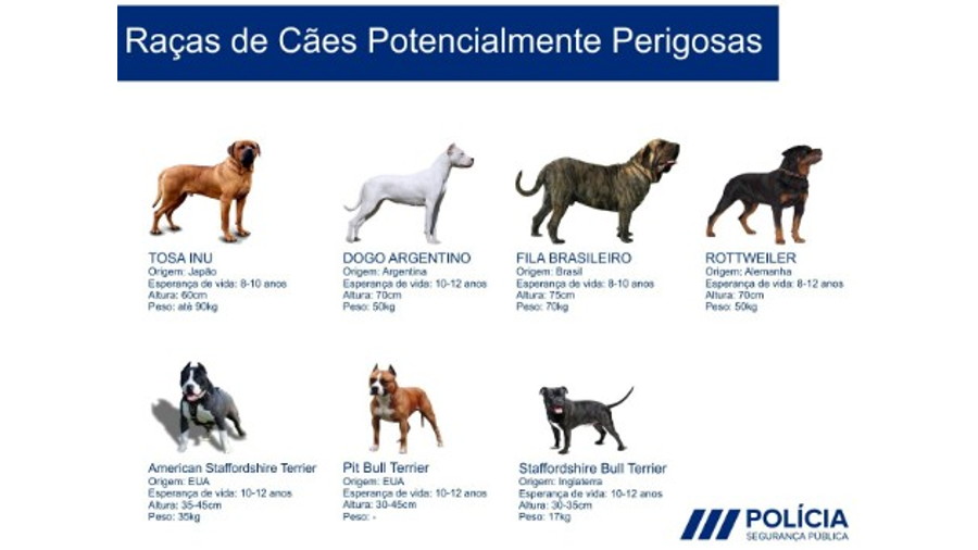 Formação obrigatória – Detentores de cão perigoso ou potencialmente perigoso