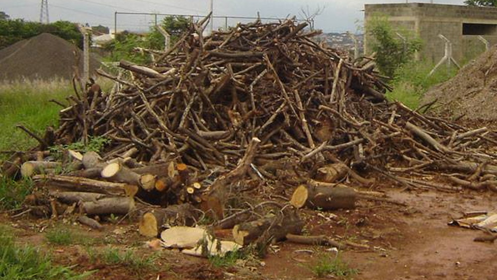 Parques de Recolha de Resíduos Florestais 