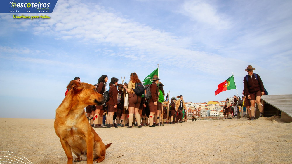 Atividade Passo a Passo'19 Escoteiros de Portugal