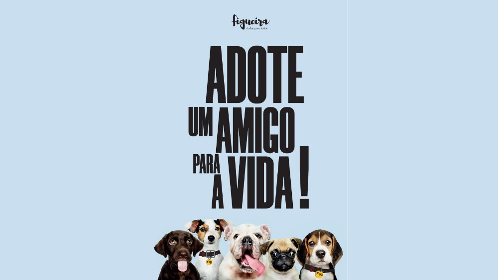 Adote um amigo para a vida!