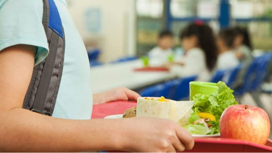 Figueira da Foz / Escola de Referência