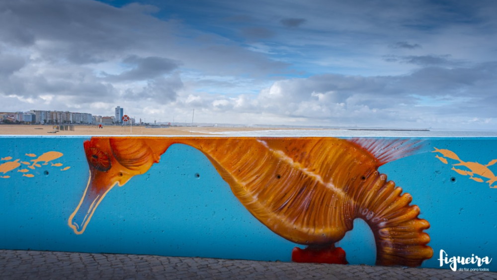 Boa tarde e até amanhã Figueira da Foz!