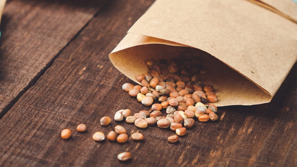 O Ministério da Agricultura alerta