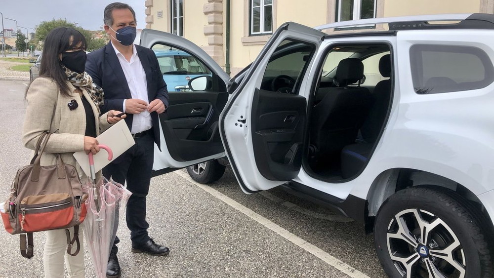 OP Cidade - Abrigos de Rua para Gatos